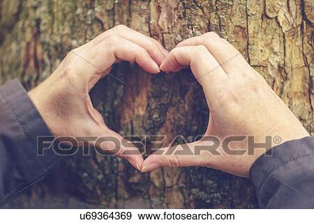 Stock Photo - Female hands making heart sign against tree trunk.. Fotosearch