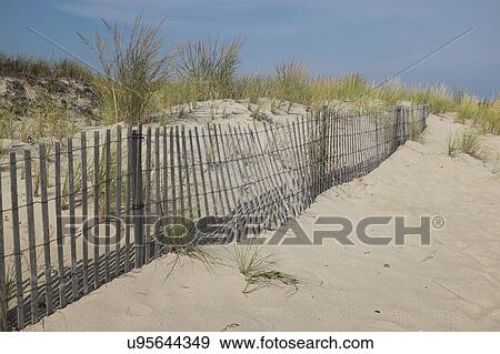 Fence and grass in sand dunes at summer View Large Photo Image Stock Photo - Fence and grass in sand dunes at summer. Fotosearch