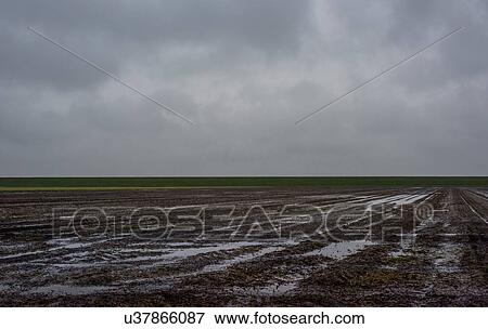 Fields soaking wet with rain, Valom, Groningen, Netherlands View Large Photo Image Stock Photo - Fields soaking wet with rain, Valom, Groningen, Netherlands. Fotosearch