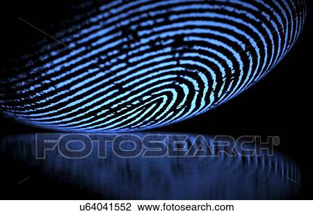 Fingerprint, illustration. View Large Photo Image Stock Image - Fingerprint, illustration.. Fotosearch