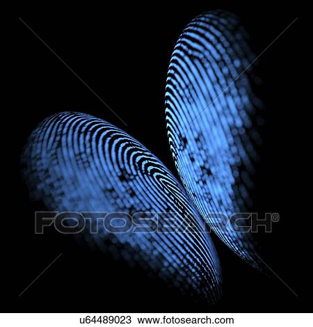 Fingerprint, illustration. View Large Photo Image Stock Image - Fingerprint, illustration.. Fotosearch
