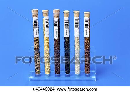 Picture - Food samples in test tubes.. Fotosearch