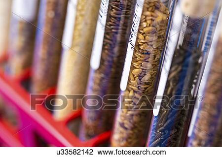 Stock Image - Food samples in test tubes.. Fotosearch