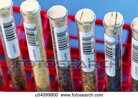 Food samples in test tubes. View Large Photo Image Stock Image - Food samples in test tubes.. Fotosearch