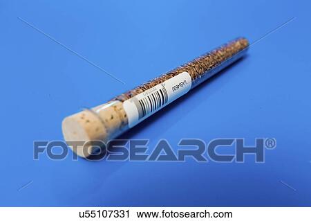 Stock Image - Food samples in test tubes.. Fotosearch