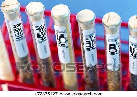 Food samples in test tubes. View Large Photo Image Stock Photo - Food samples in test tubes.. Fotosearch