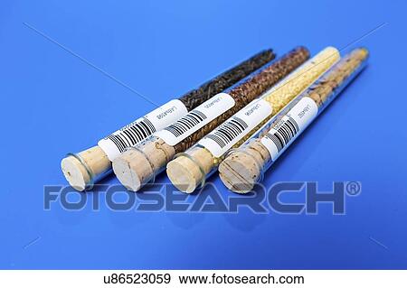 Food samples in test tubes. View Large Photo Image Stock Photo - Food samples in test tubes.. Fotosearch