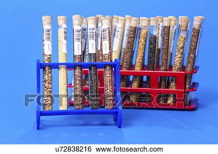 Stock Photograph - Food samples in test tubes.. Fotosearch