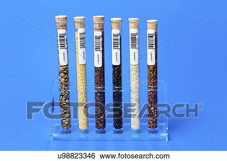 Stock Photograph - Food samples in test tubes.. Fotosearch
