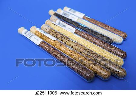 Food samples in test tubes. View Large Photo Image Stock Photography - Food samples in test tubes.. Fotosearch