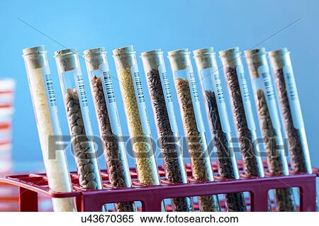 Food samples in test tubes. View Large Photo Image Stock Photography - Food samples in test tubes.. Fotosearch