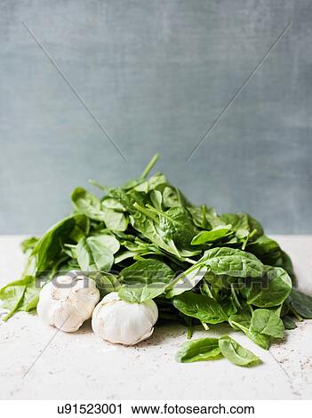 Fresh spinach leaves and garlic View Large Photo Image Stock Image - Fresh spinach leaves and garlic. Fotosearch