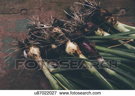 Stock Photo - Freshly picked spring onions on table.. Fotosearch
