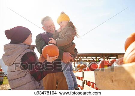 Girl and brother with grandfather selecting pumpkins in pumpkin patch field View Large Photo Image Picture - Girl and brother with grandfather selecting pumpkins in pumpkin patch field. Fotosearch