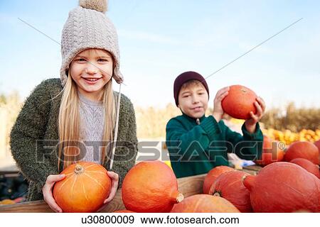 Girl and her brother holding harvested pumpkins View Large Photo Image Stock Photo - Girl and her brother holding harvested pumpkins. Fotosearch