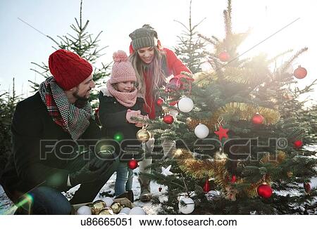 Girl and parents looking at baubles on forest christmas tree View Large Photo Image Stock Image - Girl and parents looking at baubles on forest christmas tree. Fotosearch