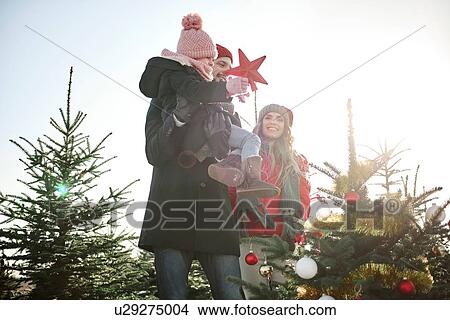 Girl and parents placing star on forest christmas tree View Large Photo Image Picture - Girl and parents placing star on forest christmas tree. Fotosearch