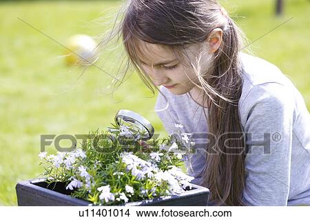Picture - Girl examining a plant with a magnifying glass.. Fotosearch