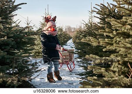 Stock Photograph - Girl in christmas tree forest pulling presents on toboggan, portrait. Fotosearch