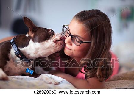 Stock Image - Girl lying on bed, pet dog licking her face. Fotosearch