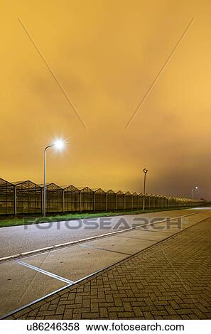 Stock Photo - Greenhouse at night, in Westland, area with the highest concentration of greenhouses in Netherlands. Fotosearch
