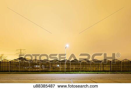 Stock Photo - Greenhouse at night, in Westland, area with the highest concentration of greenhouses in Netherlands. Fotosearch