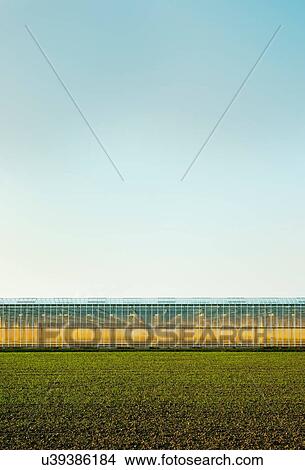 Greenhouse in Westland, area with the highest concentration of greenhouses in Netherlands View Large Photo Image Picture - Greenhouse in Westland, area with the highest concentration of greenhouses in Netherlands. Fotosearch
