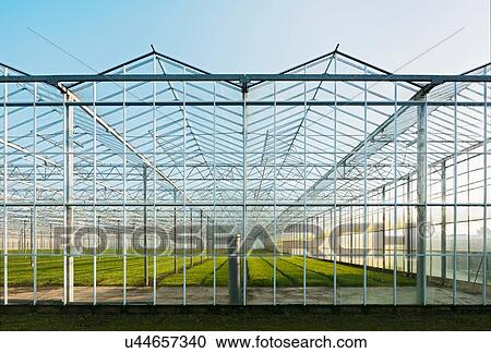 Greenhouse in Westland, area with the highest concentration of greenhouses in Netherlands View Large Photo Image Stock Image - Greenhouse in Westland, area with the highest concentration of greenhouses in Netherlands. Fotosearch