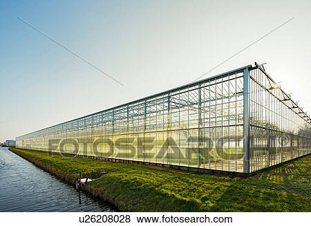 Greenhouse in Westland, area with the highest concentration of greenhouses in Netherlands View Large Photo Image Stock Photo - Greenhouse in Westland, area with the highest concentration of greenhouses in Netherlands. Fotosearch