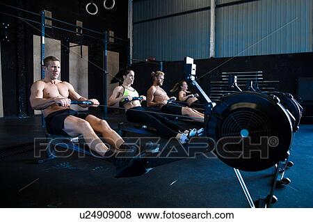 Group of people exercising in gymnasium, using rowing machines View Large Photo Image Stock Photo - Group of people exercising in gymnasium, using rowing machines. Fotosearch