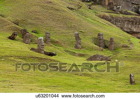 Group of Rano Raraku moai statue on Easter Island View Large Photo Image Picture - Group of Rano Raraku moai statue on Easter Island. Fotosearch