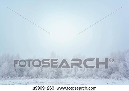 Stock Image - Halo over trees, Ural, Sverdlovsk, Russia. Fotosearch