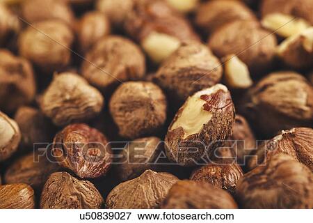 Stock Photo - Hazelnuts.. Fotosearch