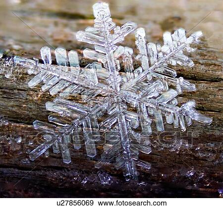 Stock Photo - Hexagonal frozen crystal formed from hoar frost. Fotosearch