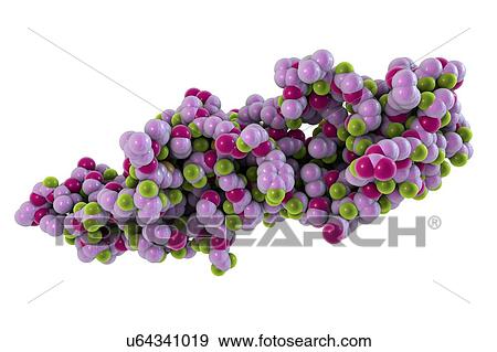 Stock Photo - Human Chorionic Gonadotropin (hCG) glycoprotein hormone, molecular structure. Used in fertility treatments and in vitro fertilization. Detected in pregnancy tests.. Fotosearch