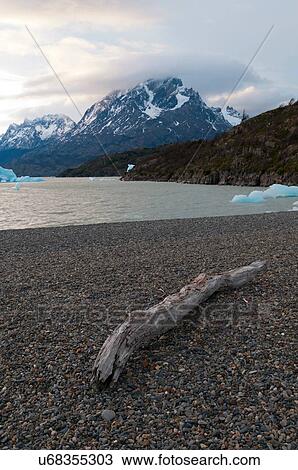 Stock Image - Icebergs on Grey Lake, Torres del Paine National Park, Patagonia, Chile. Fotosearch