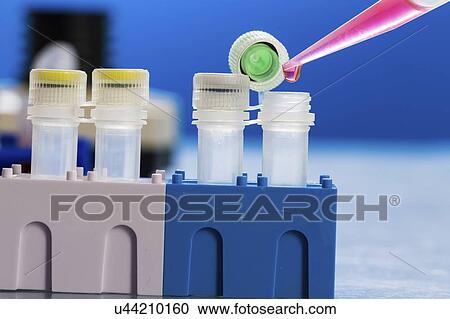 Stock Image - Identification of pathogenic microbes and viruses.. Fotosearch