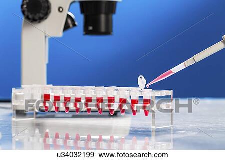 Stock Photo - Identification of pathogenic microbes and viruses.. Fotosearch