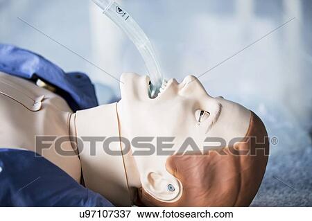 Intubation training dummy. View Large Photo Image Stock Photo - Intubation training dummy.. Fotosearch
