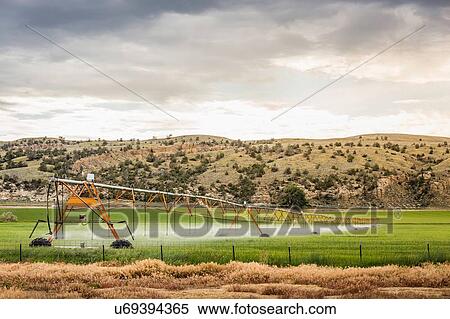 Stock Photography - Irrigating agricultural land, Montana, US. Fotosearch