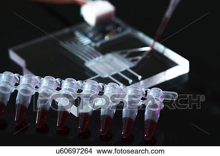 Picture - Lab on a chip (LOC).. Fotosearch