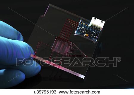 Stock Image - Lab on a chip (LOC).. Fotosearch