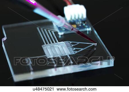 Stock Image - Lab on a chip (LOC).. Fotosearch