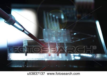 Stock Photo - Lab on a chip (LOC).. Fotosearch