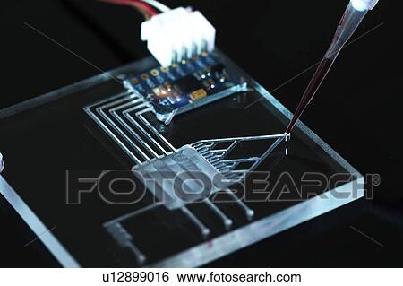 Stock Photograph - Lab on a chip (LOC).. Fotosearch