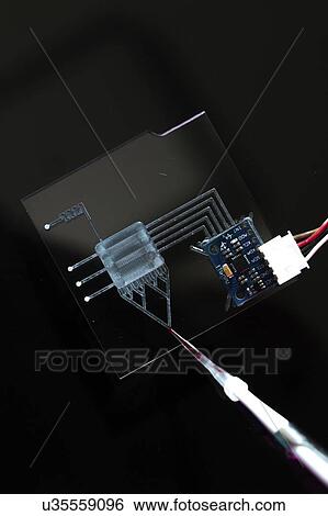 Stock Photograph - Lab on a chip (LOC).. Fotosearch