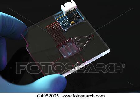 Stock Photography - Lab on a chip (LOC).. Fotosearch