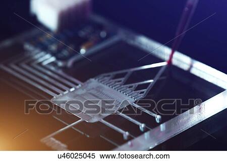 Stock Photography - Lab on a chip (LOC).. Fotosearch