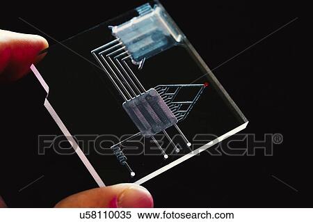 Stock Photography - Lab on a chip (LOC).. Fotosearch