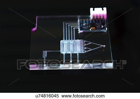 Stock Photography - Lab on a chip (LOC).. Fotosearch